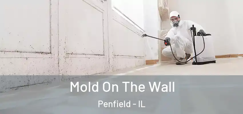  Mold On The Wall Penfield - IL