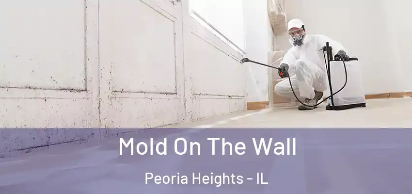  Mold On The Wall Peoria Heights - IL