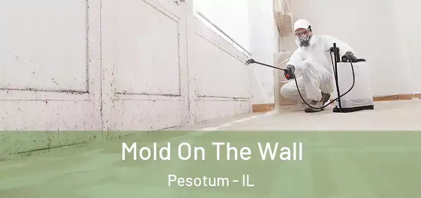  Mold On The Wall Pesotum - IL