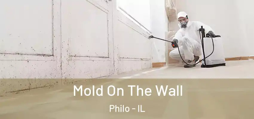  Mold On The Wall Philo - IL