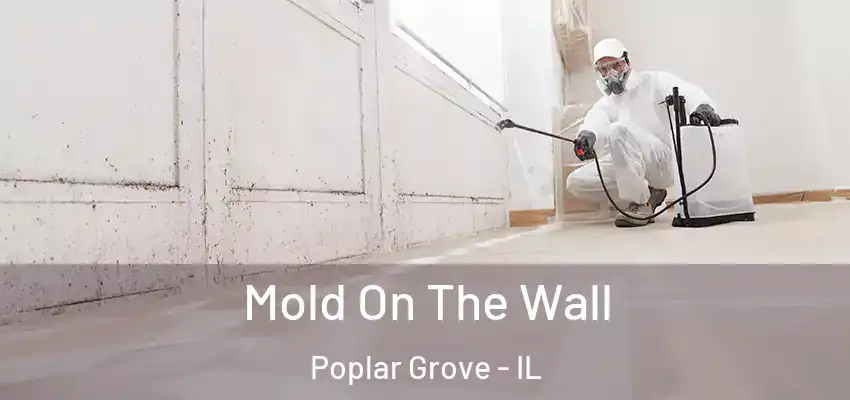  Mold On The Wall Poplar Grove - IL