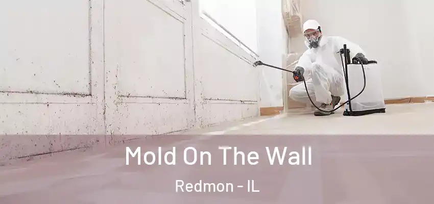  Mold On The Wall Redmon - IL