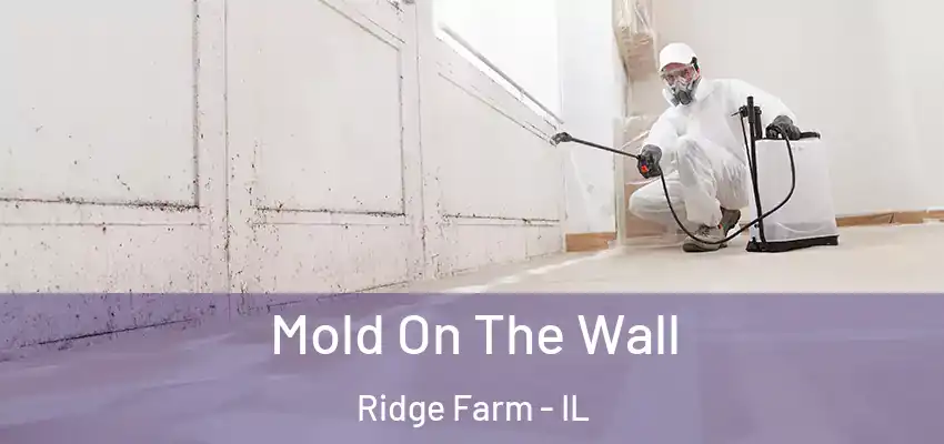  Mold On The Wall Ridge Farm - IL