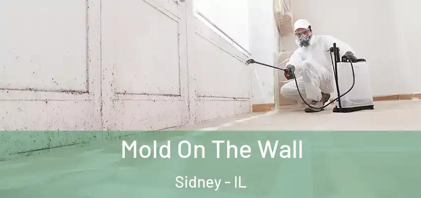  Mold On The Wall Sidney - IL