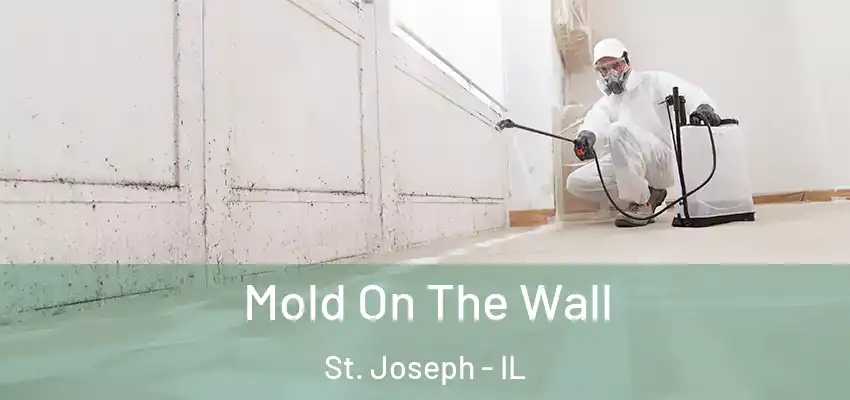  Mold On The Wall St. Joseph - IL