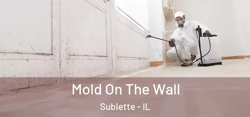Mold On The Wall Sublette - IL