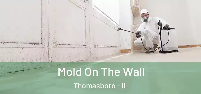  Mold On The Wall Thomasboro - IL
