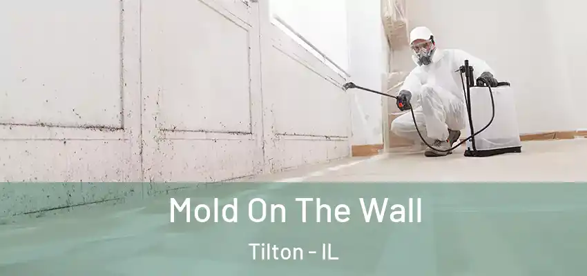  Mold On The Wall Tilton - IL