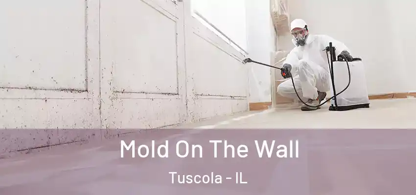  Mold On The Wall Tuscola - IL