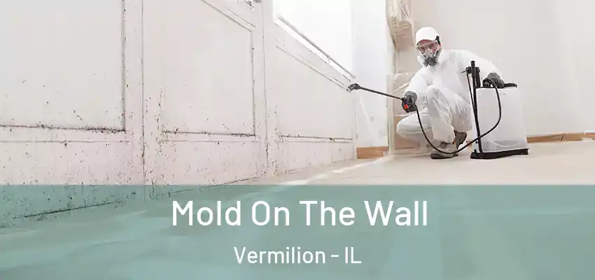  Mold On The Wall Vermilion - IL