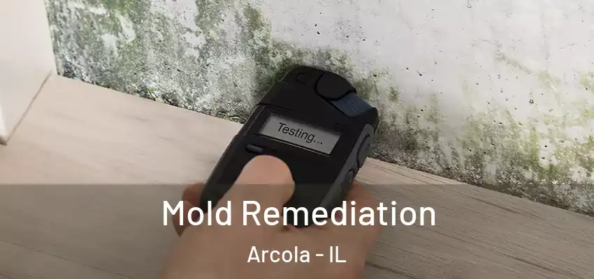  Mold Remediation Arcola - IL