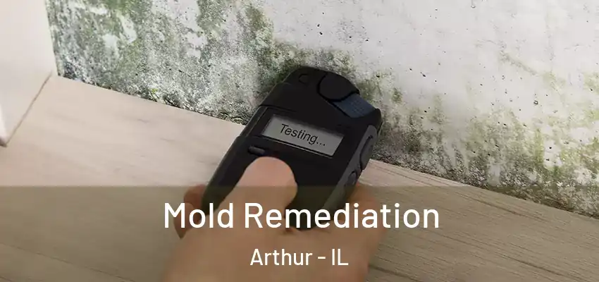  Mold Remediation Arthur - IL