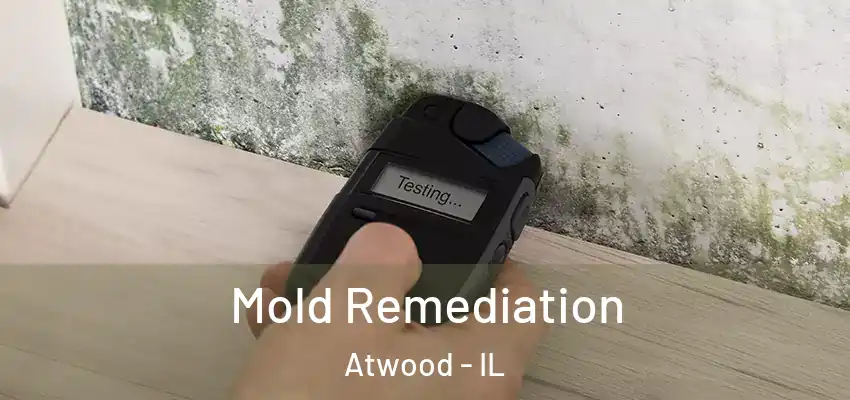  Mold Remediation Atwood - IL