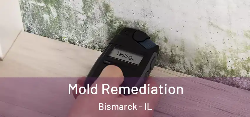  Mold Remediation Bismarck - IL