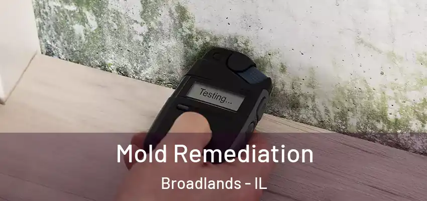  Mold Remediation Broadlands - IL