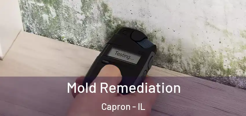 Mold Remediation Capron - IL