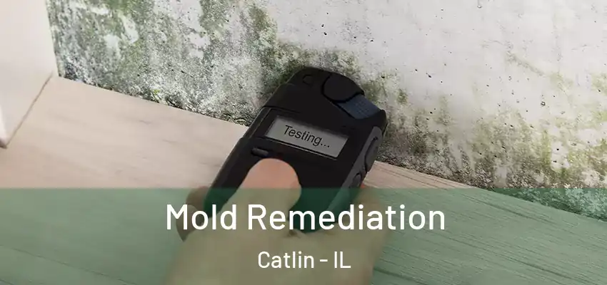  Mold Remediation Catlin - IL