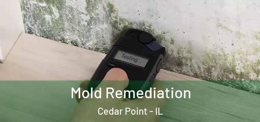  Mold Remediation Cedar Point - IL