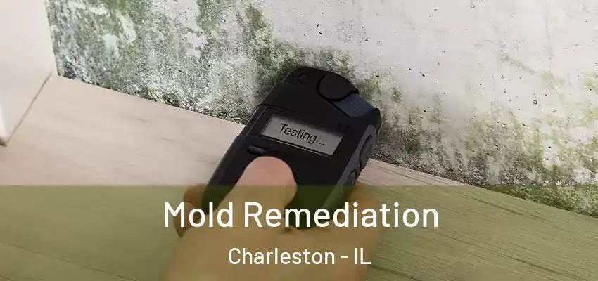  Mold Remediation Charleston - IL