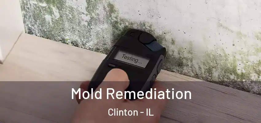  Mold Remediation Clinton - IL