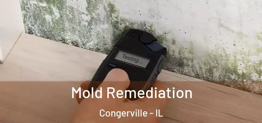  Mold Remediation Congerville - IL