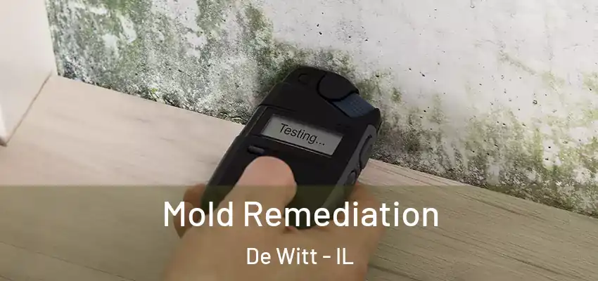  Mold Remediation De Witt - IL