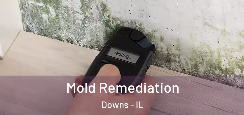  Mold Remediation Downs - IL