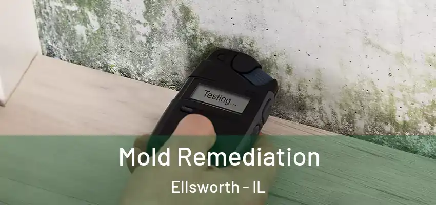 Mold Remediation Ellsworth - IL