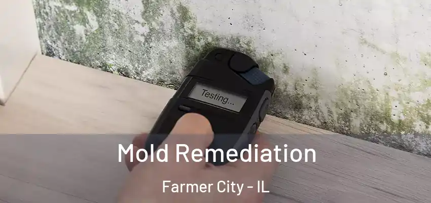  Mold Remediation Farmer City - IL