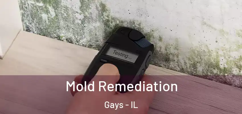  Mold Remediation Gays - IL