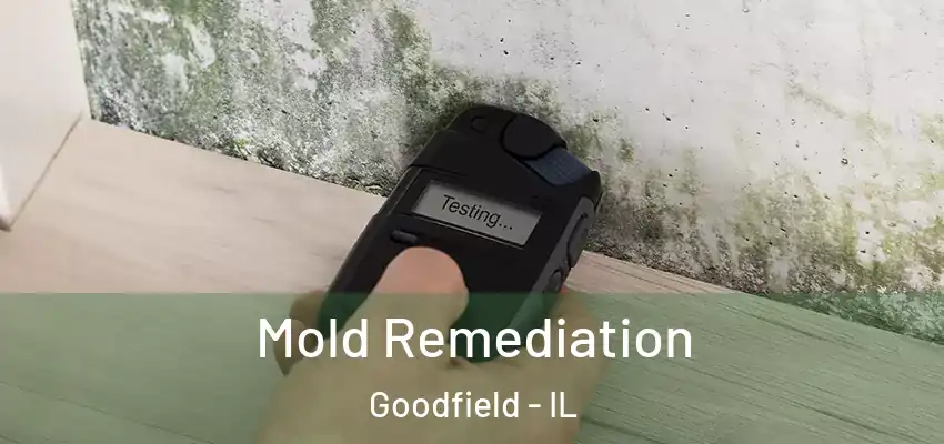  Mold Remediation Goodfield - IL