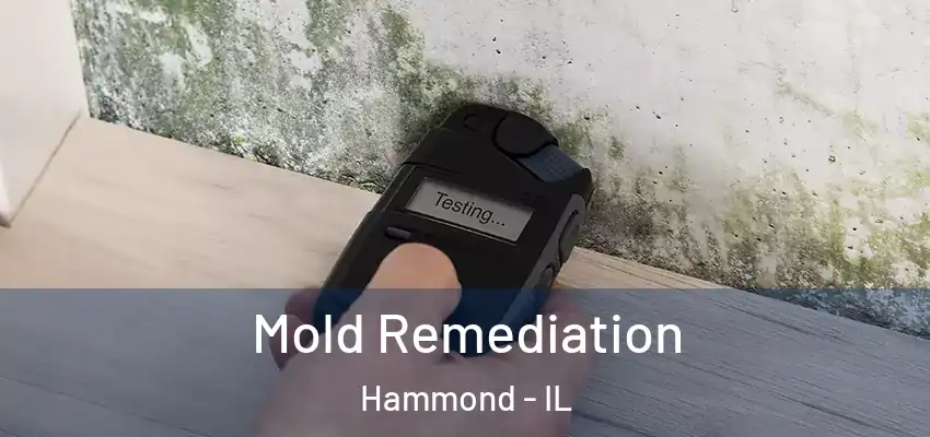  Mold Remediation Hammond - IL