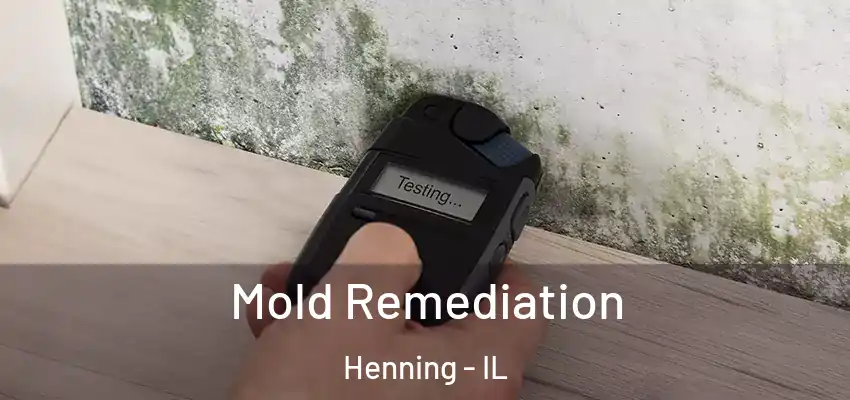  Mold Remediation Henning - IL