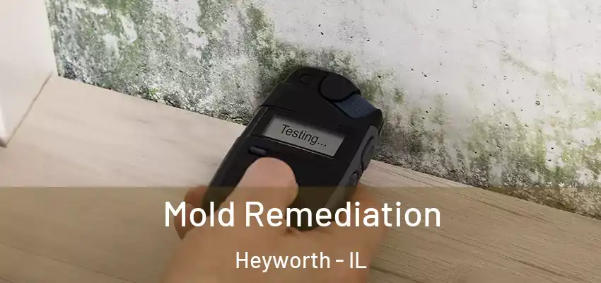  Mold Remediation Heyworth - IL