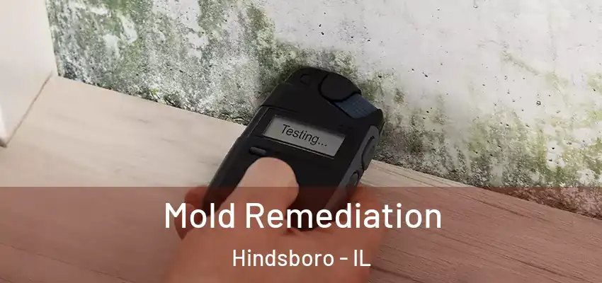  Mold Remediation Hindsboro - IL