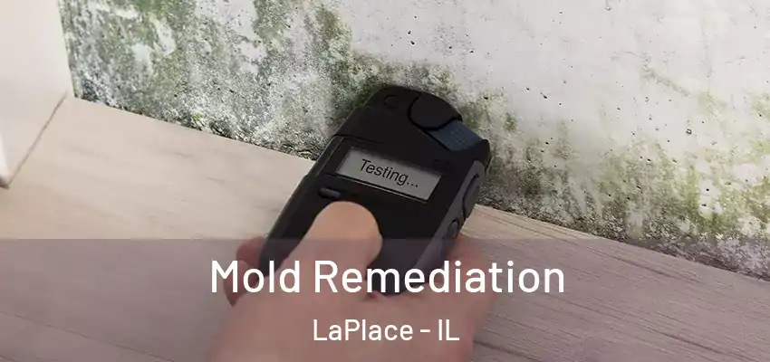  Mold Remediation LaPlace - IL