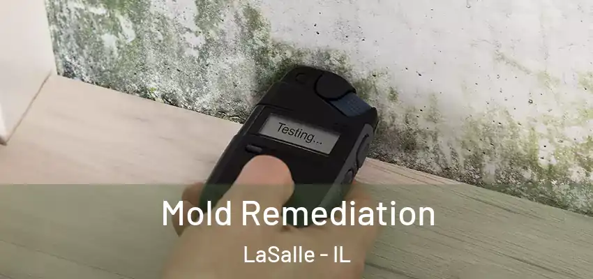  Mold Remediation LaSalle - IL
