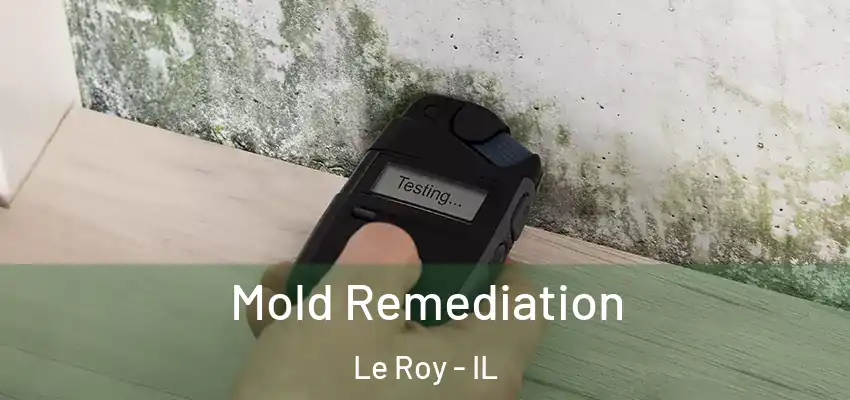  Mold Remediation Le Roy - IL