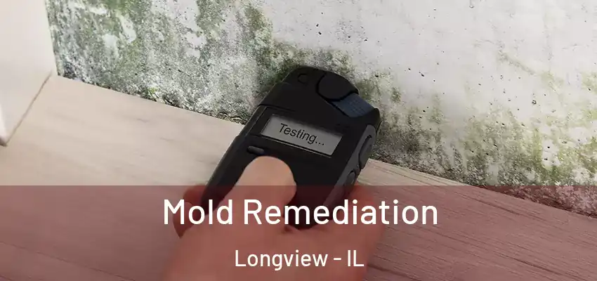  Mold Remediation Longview - IL