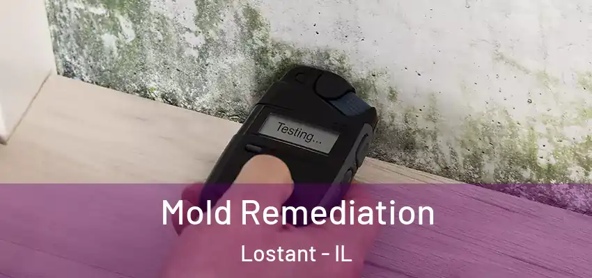 Mold Remediation Lostant - IL