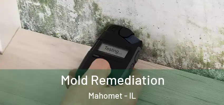  Mold Remediation Mahomet - IL