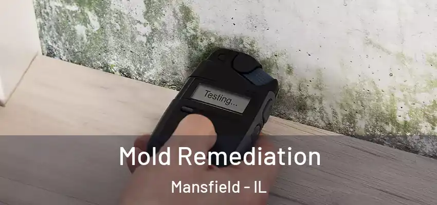  Mold Remediation Mansfield - IL