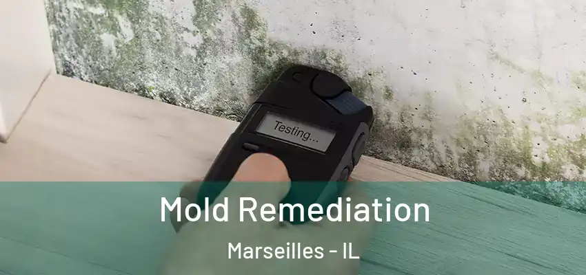  Mold Remediation Marseilles - IL