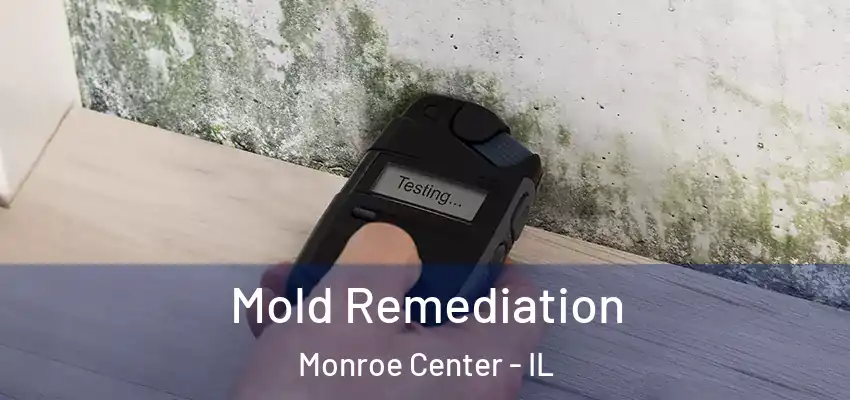  Mold Remediation Monroe Center - IL