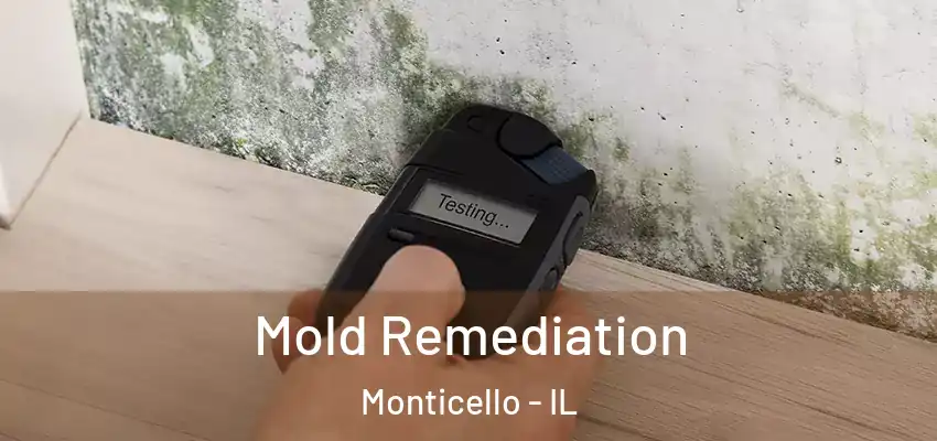  Mold Remediation Monticello - IL