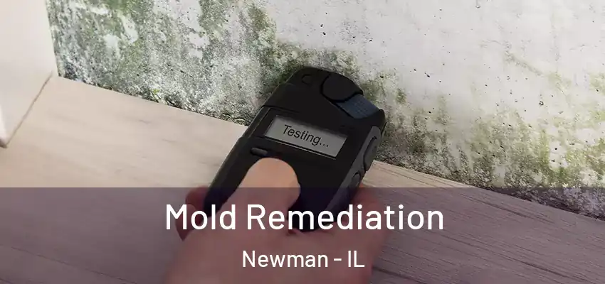  Mold Remediation Newman - IL