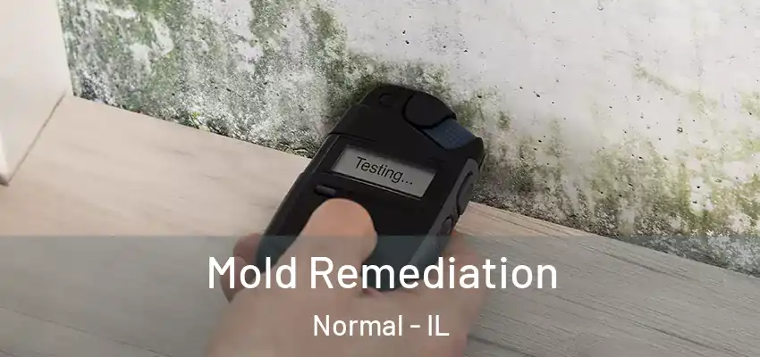  Mold Remediation Normal - IL