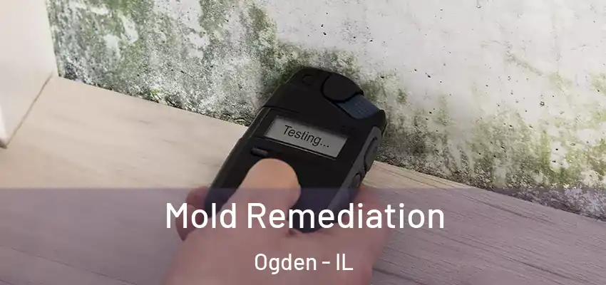  Mold Remediation Ogden - IL