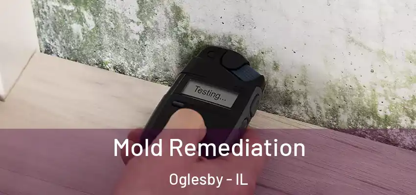 Mold Remediation Oglesby - IL