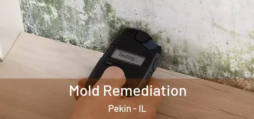  Mold Remediation Pekin - IL